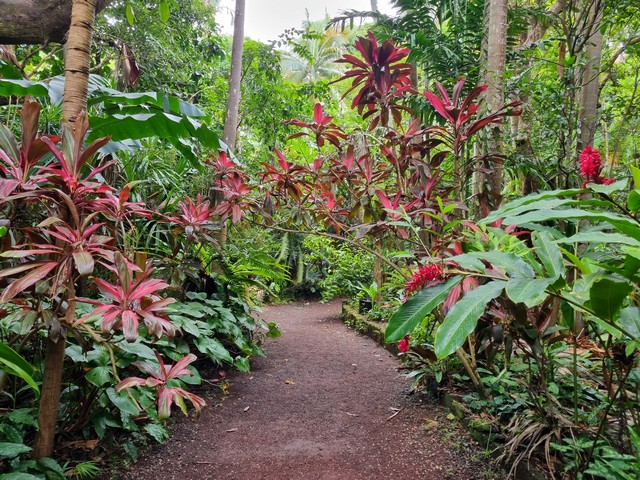 Attractions in Reunion for Families