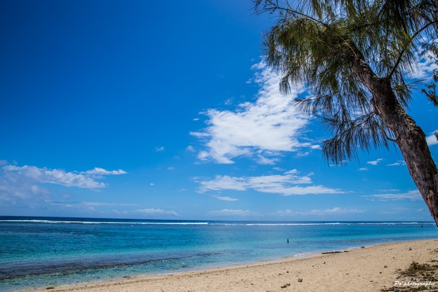 Attractions in Reunion for Families