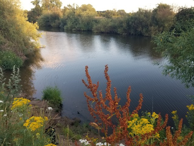 best parks in York