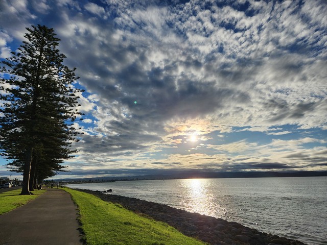 best parks in Napier