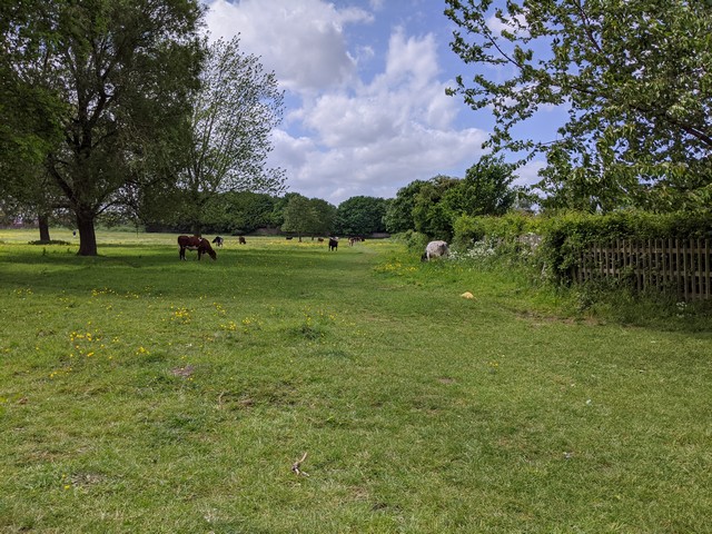 best parks in York